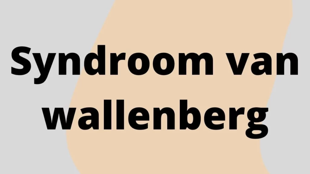 Syndroom van wallenberg