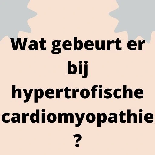Wat gebeurt er bij hypertrofische cardiomyopathie?