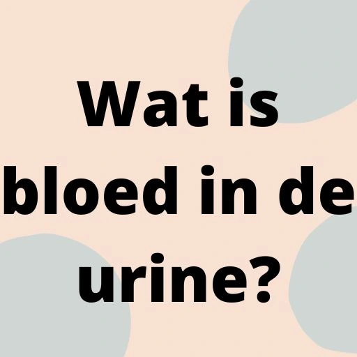 Wat is bloed in de urine?