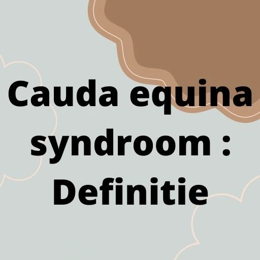 Cauda equina syndroom : Definitie