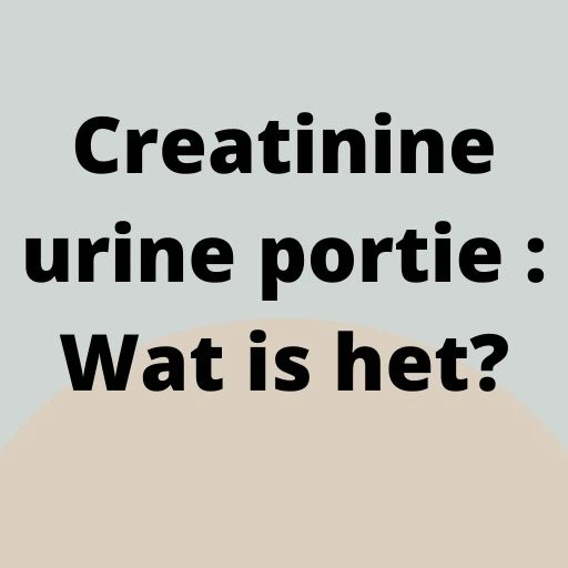 Creatinine urine portie : Wat is het?