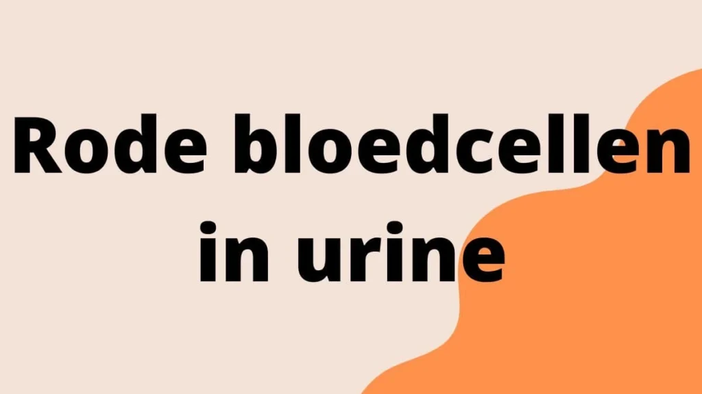 Rode bloedcellen in urine