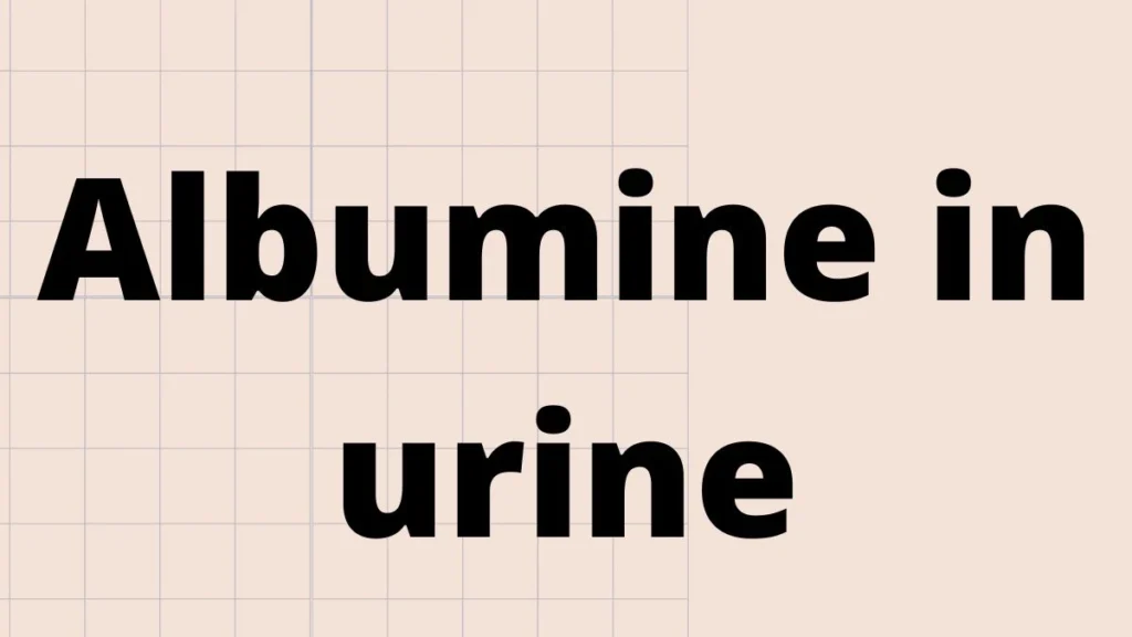 Albumine in urine